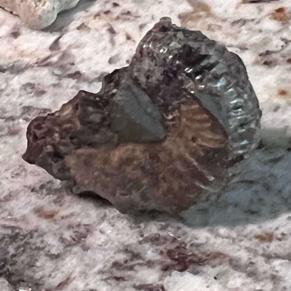 Ammonite, fossil, craft fossil, natural ammonite fossil, ammonite specimen. - Picture 2 of 9